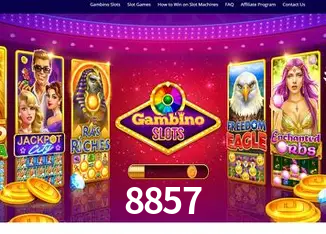 8857 Rio de Janeiro - Bonus Terms